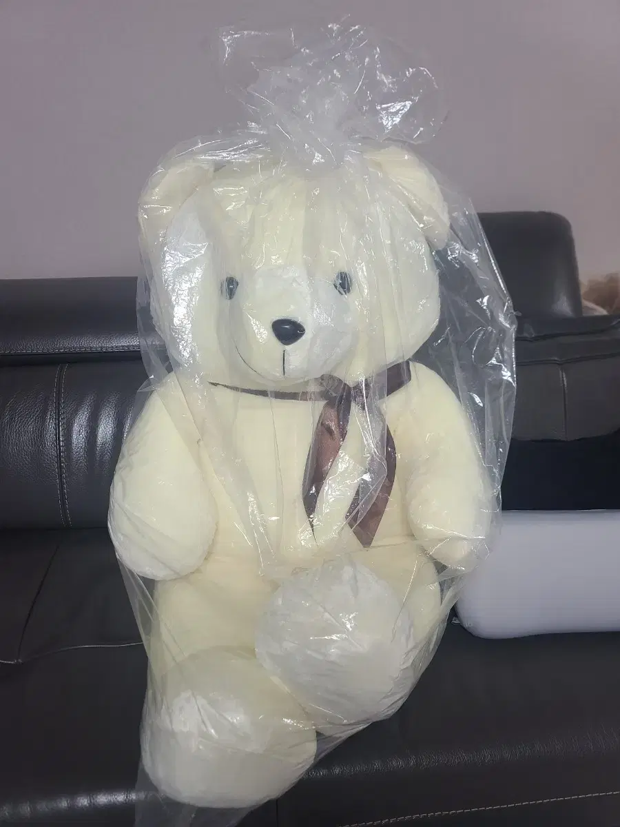 Large Bear Doll