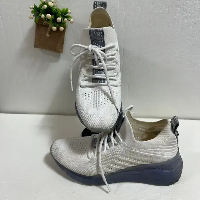 STEVE MADDEN 운동화 사이즈 235