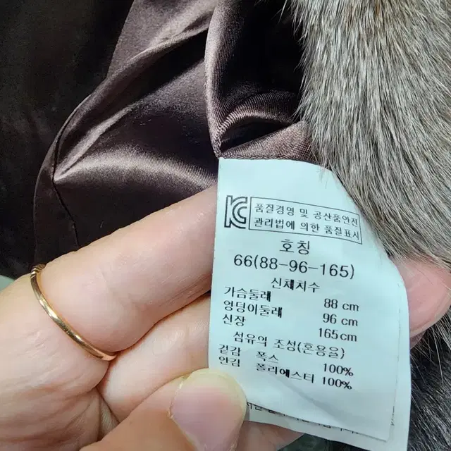 에이비플러스 폭스조끼 66