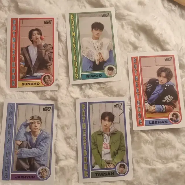 WHO 6 TRADING CARDS 보이넥스트도어 ( 운학 no )