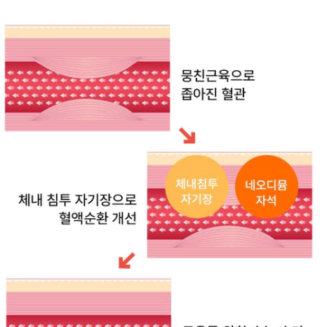 정가11.8 새거풀박 쿨거택포7 9000가우스 근육통 명품팔찌남자팔찌