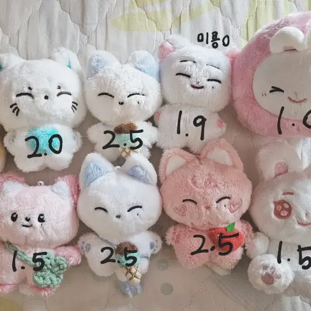 선우 인형 피치떤 한국폭 떤모찌 민트떠누 썬폭스 양도 10cm