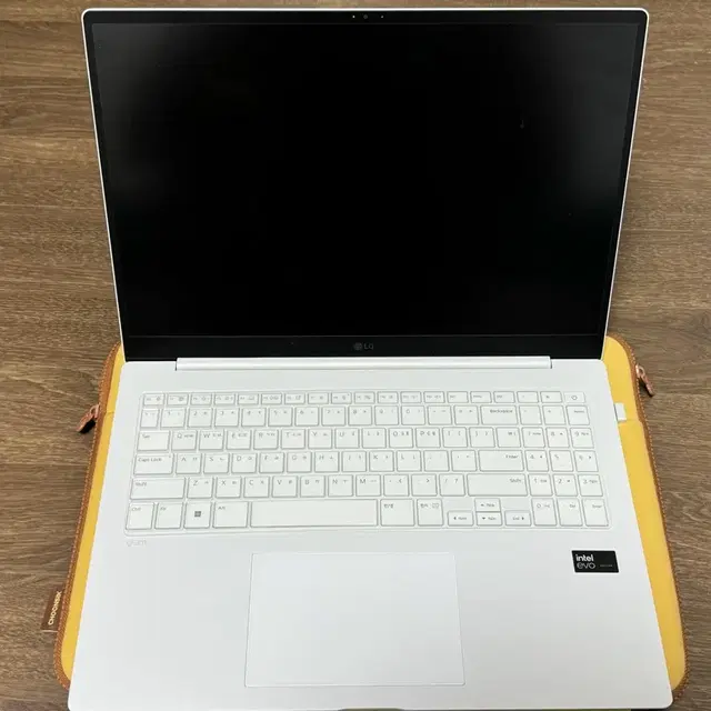 그램 pro 16 256GB