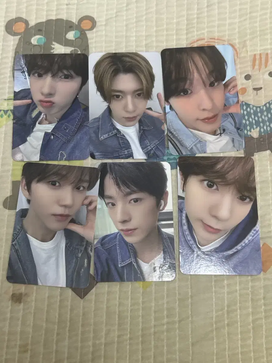 NCTWish everline ld Songbird unreleased photocard SionRikusakuyayoryu sell photocard