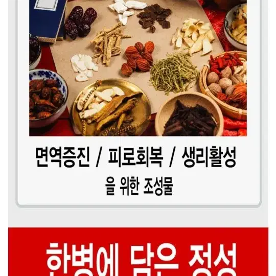 숙성 발효 명품 궁궐침향단