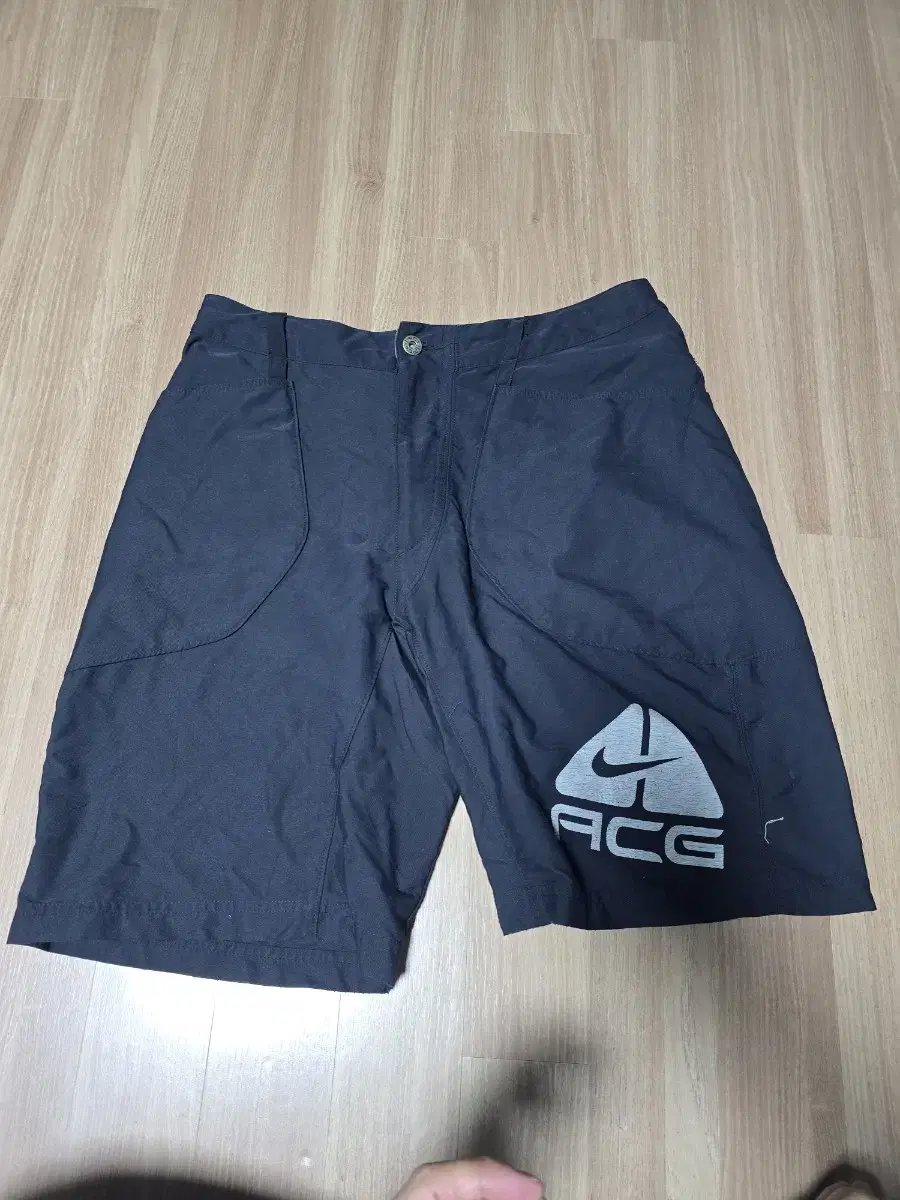 Nike ACG Big Logo Shorts