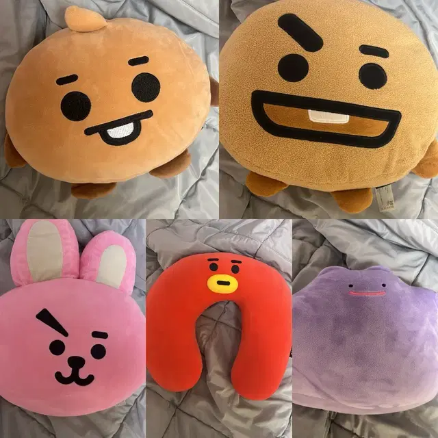 BT21 슈키, 쿠키 쿠션, 메타몽 인형, 타타 목배게, 에이블리 교신