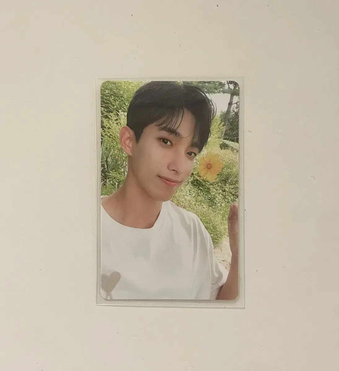 Seventeen dk Social Club Photocard