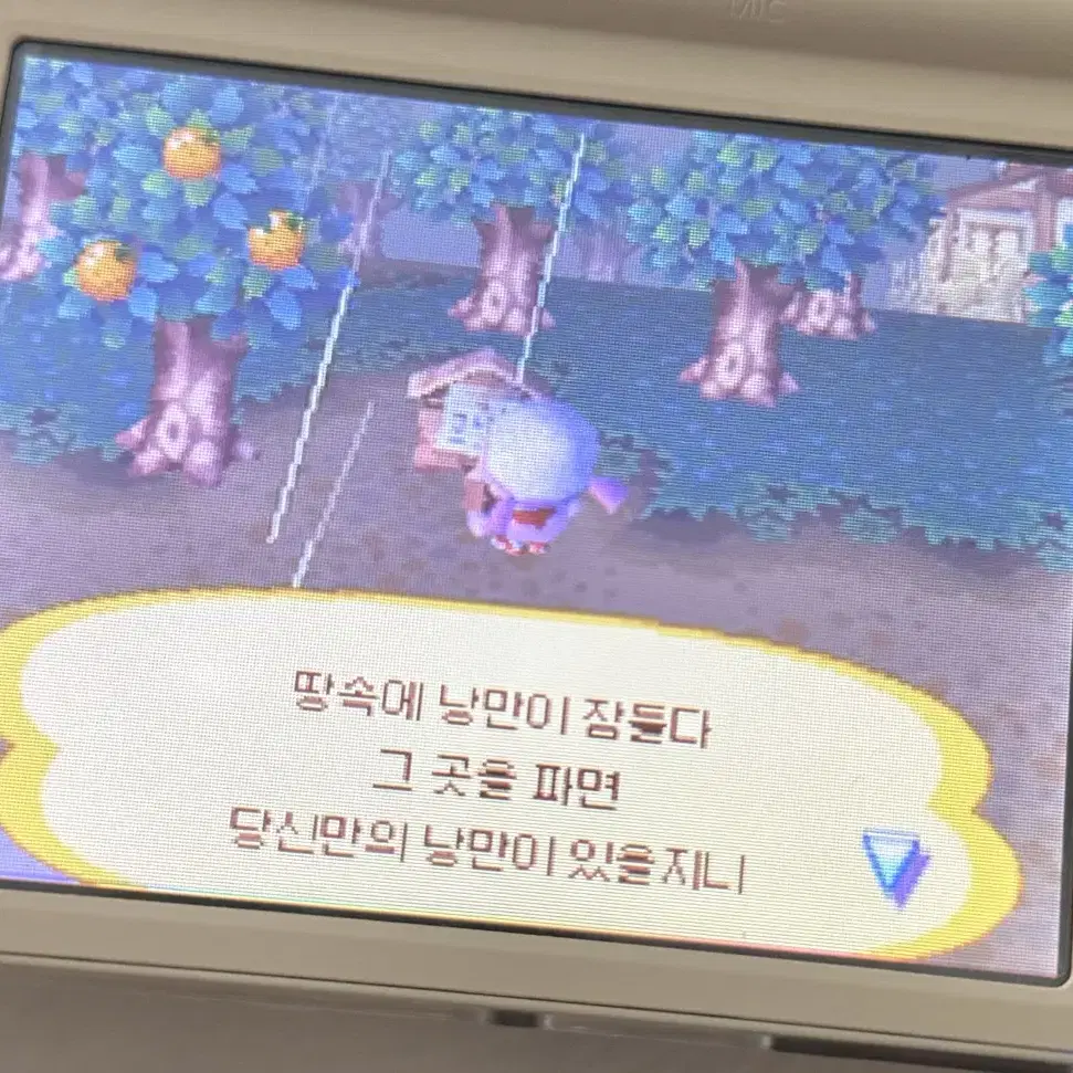 놀동숲 알칩 판매