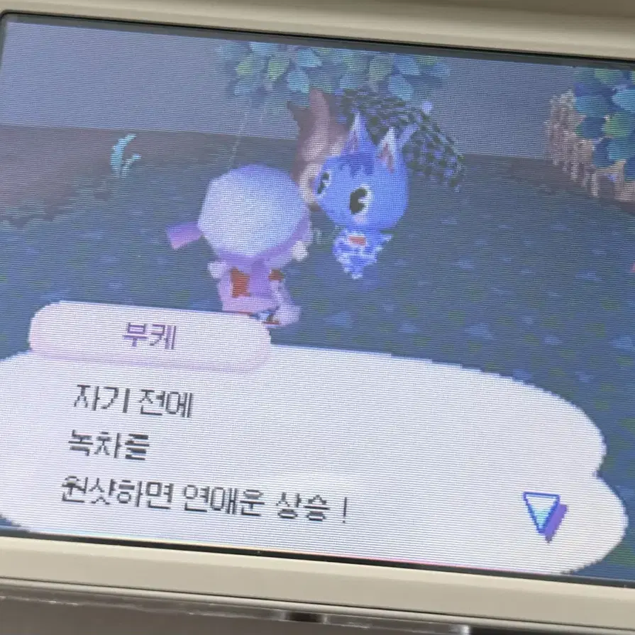 놀동숲 알칩 판매