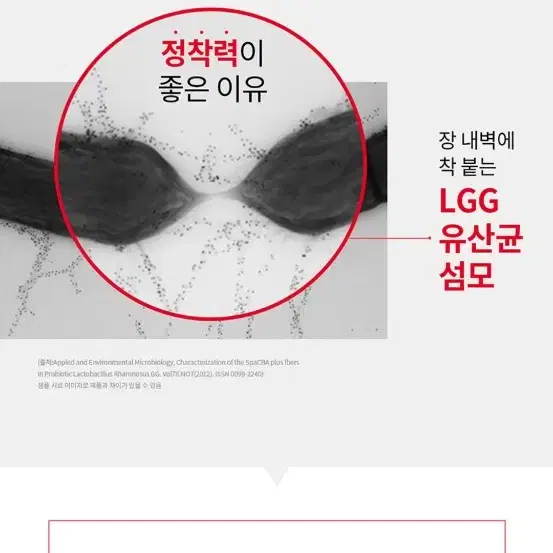 덴마크 유산군 이야기