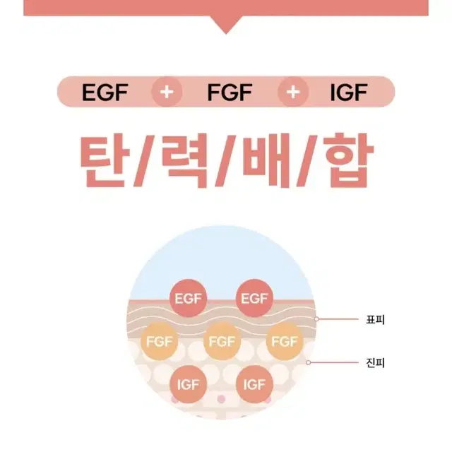 즉각주름개선 기다림No 초강력 항산화 쿼세틴 함유 수크랄페이트 앰플 세럼