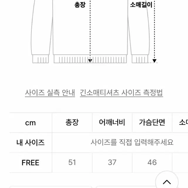 (새상품) 시엔느 롤 넥 니트