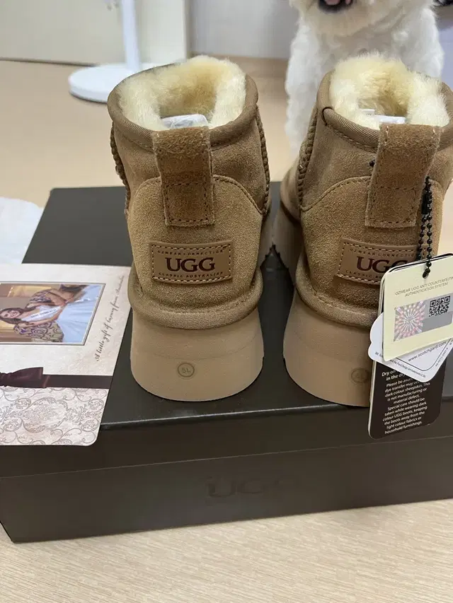 (정품)Ugg 플랫폼 울트라 미니