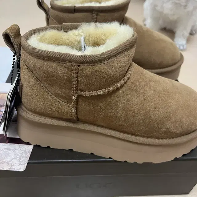 (정품)Ugg 플랫폼 울트라 미니