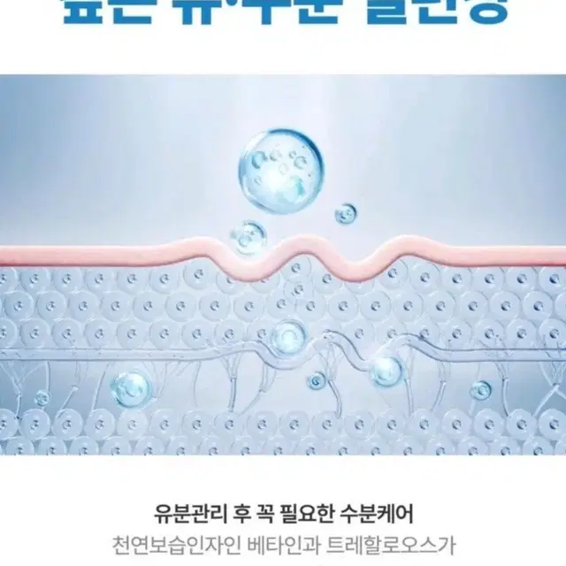 피부전문가추천 지성전용로션크림