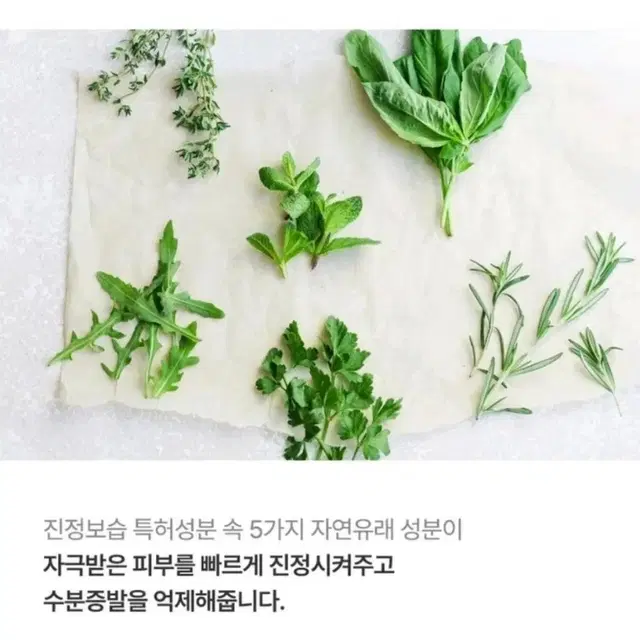 피부전문가추천 지성전용로션크림