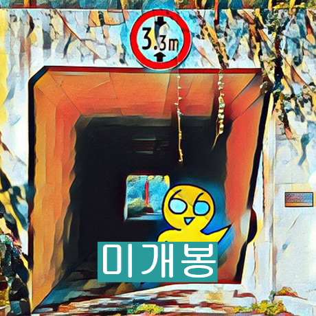 왑띠 - 남 보여주기 부끄러운 노래 (미개봉, CD)