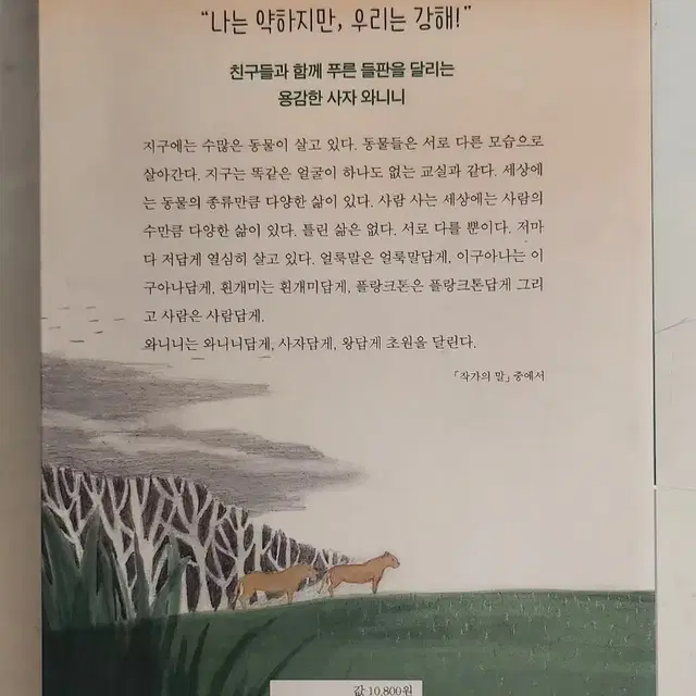 푸른사자 와니니