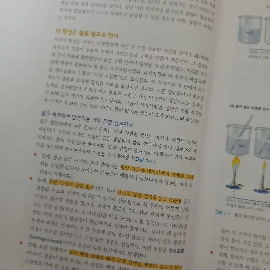 세포생물학 3판