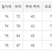 [해외] 베이프 에이프 페이스 워크 데님 팬츠 24FW