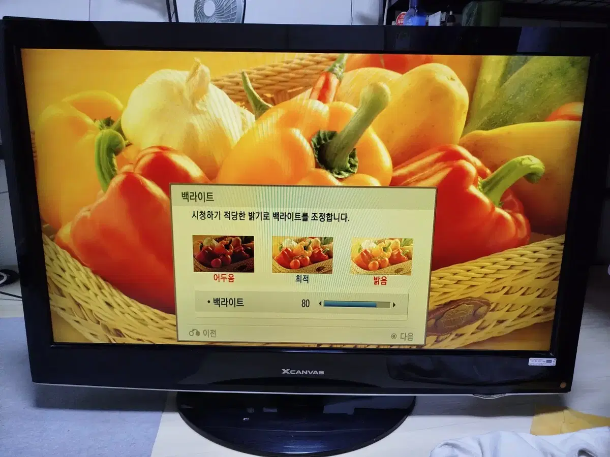 LG X캔버스 LCD TV 42LH31FD