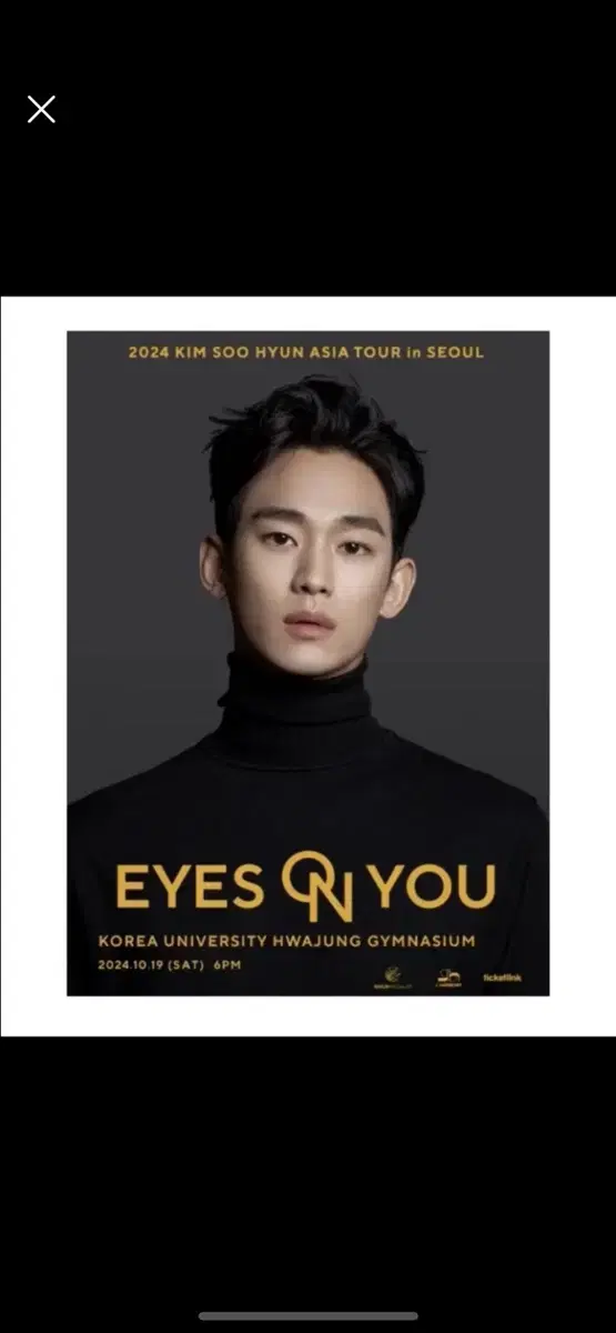 2024 김수현 팬미팅 10/19 (토) 1층 F4구역