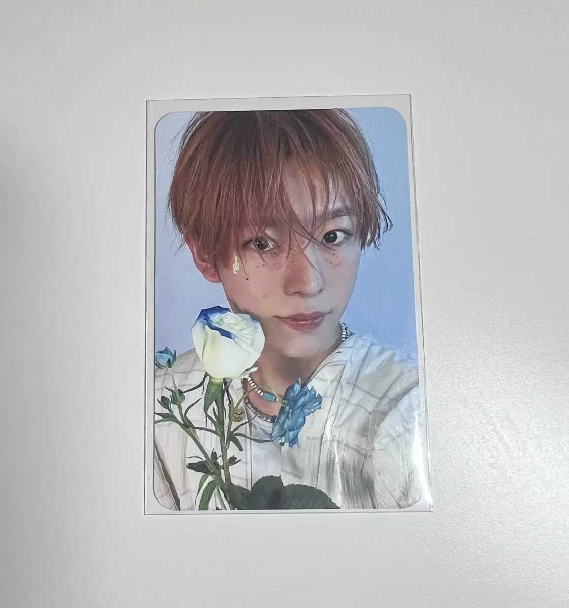 NCT wish Songbird Nippon Vahn Yuushi photocard wts Bulk