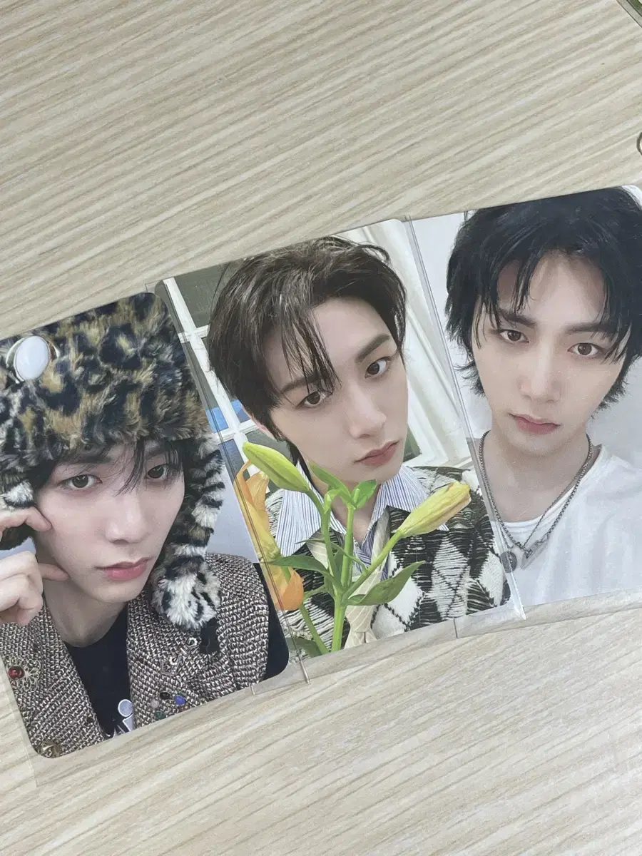 [Half-priced Delivery]Boynextdoor taesan photocard transfer/benefitsunreleased photocardSungho RiuJaehyunWoonhak