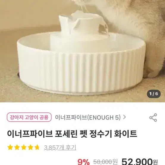 고양이 강아지 정수기