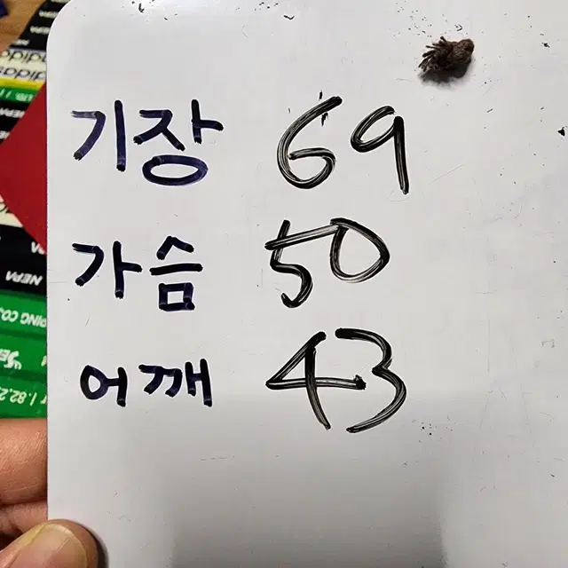 폴로 집업 가디건 L