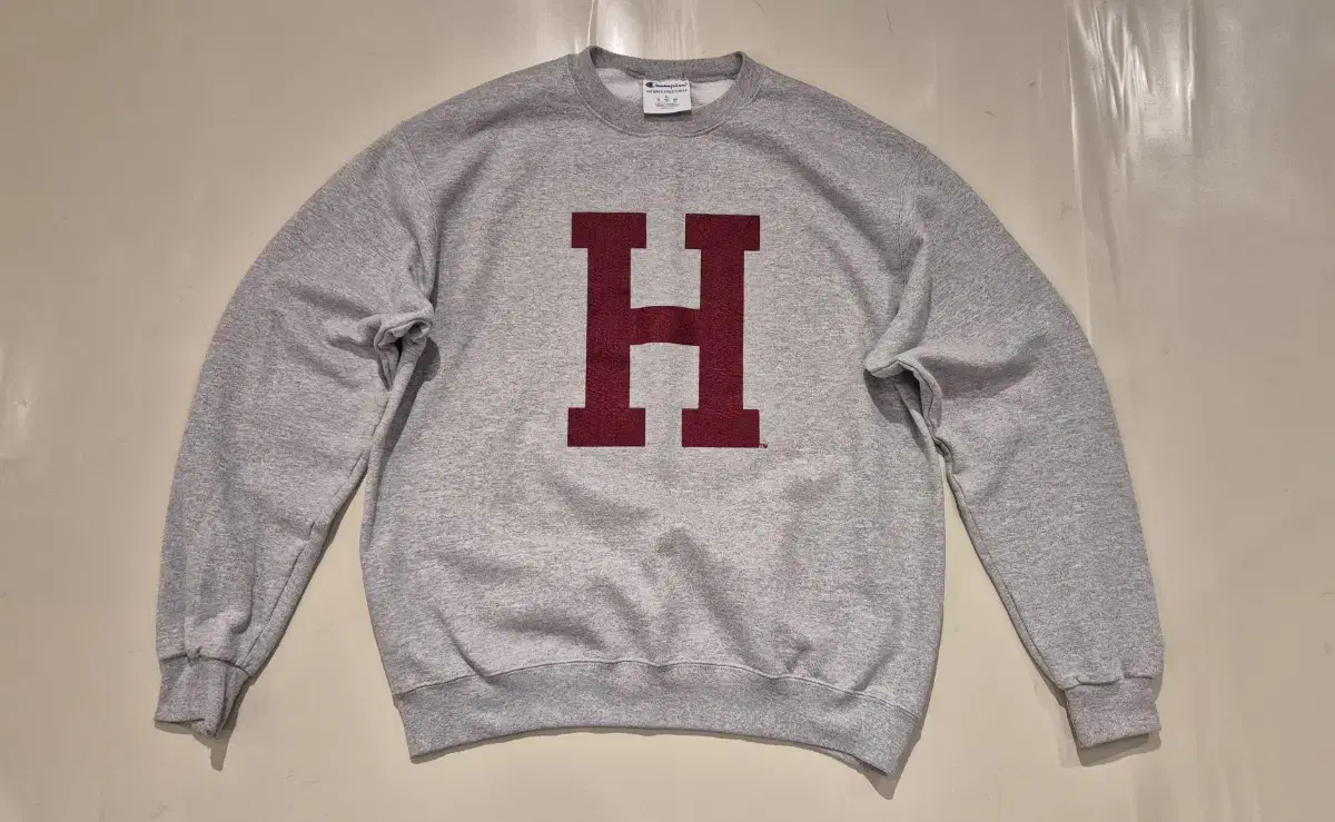 L to XL>Champion H Sweatshirt