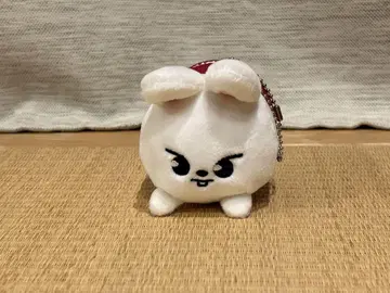 straykids 리노 Lee Lee 비트 leebit 미니 가방 참