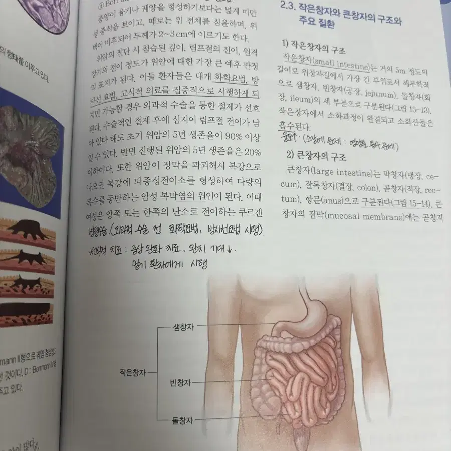 은학사 핵심 병리학 백운철 외