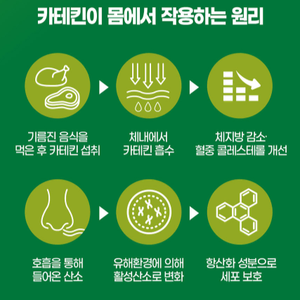 내츄럴플러스 체지방케어 다이어트 앤 유산균 30캡슐x3BOX