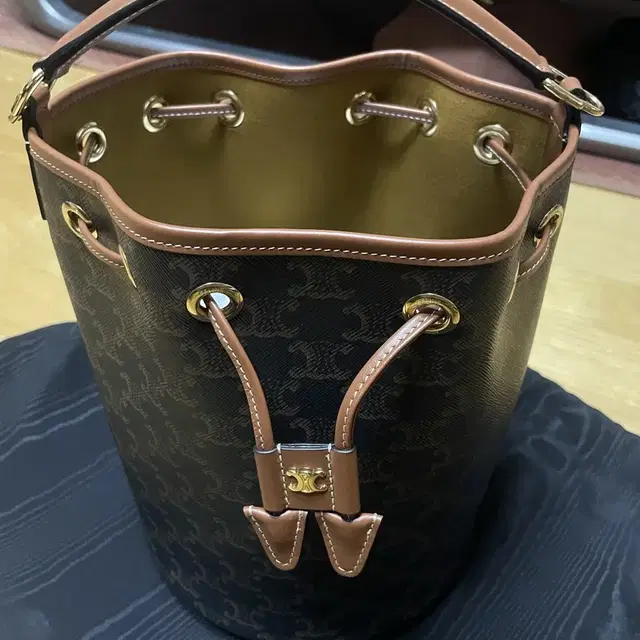 셀린느 클라라백 Celine Clara Bag in Triomphe