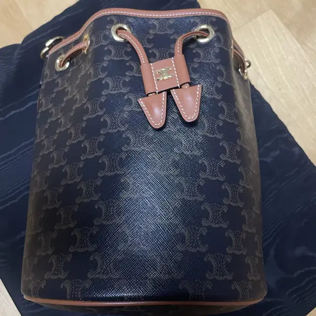 셀린느 클라라백 Celine Clara Bag in Triomphe