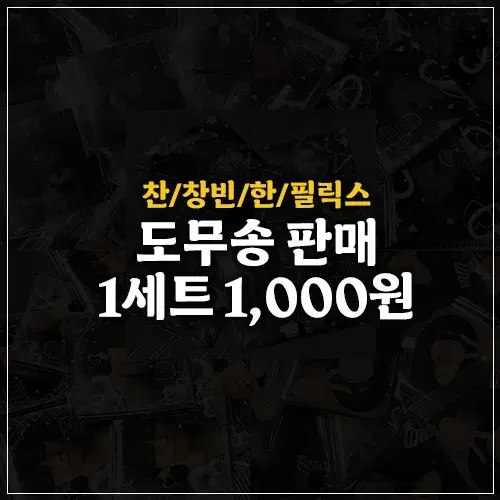 스트레이키즈 straykids 스키즈 도무송 판매