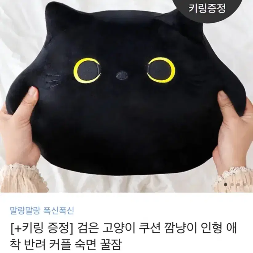 고양이 쿠션