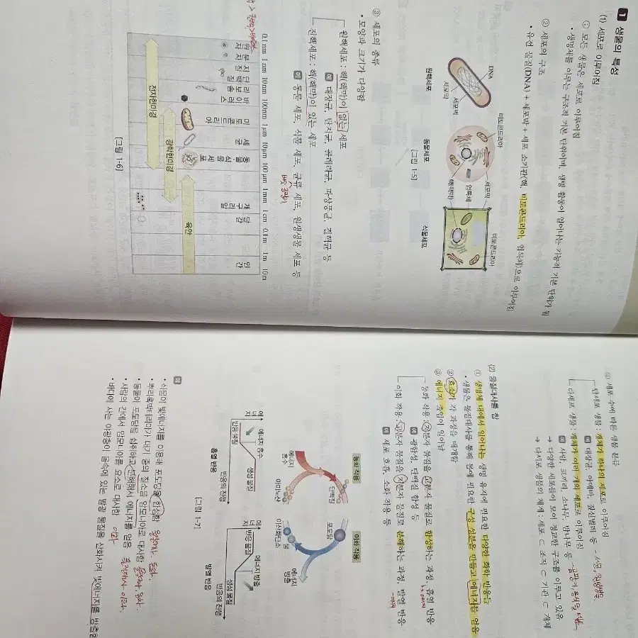 대성 마이맥 박선우 생명1 개념,기출분석