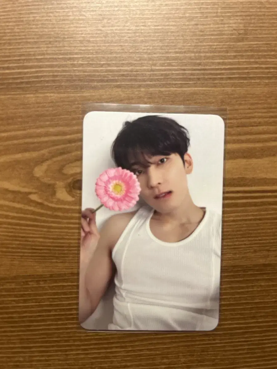 seventeen wonwoo photocard17 IS RIGHT HERE Caravan