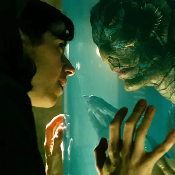 + The Shape of Water 영화 한정 희귀 에그 타이머 +