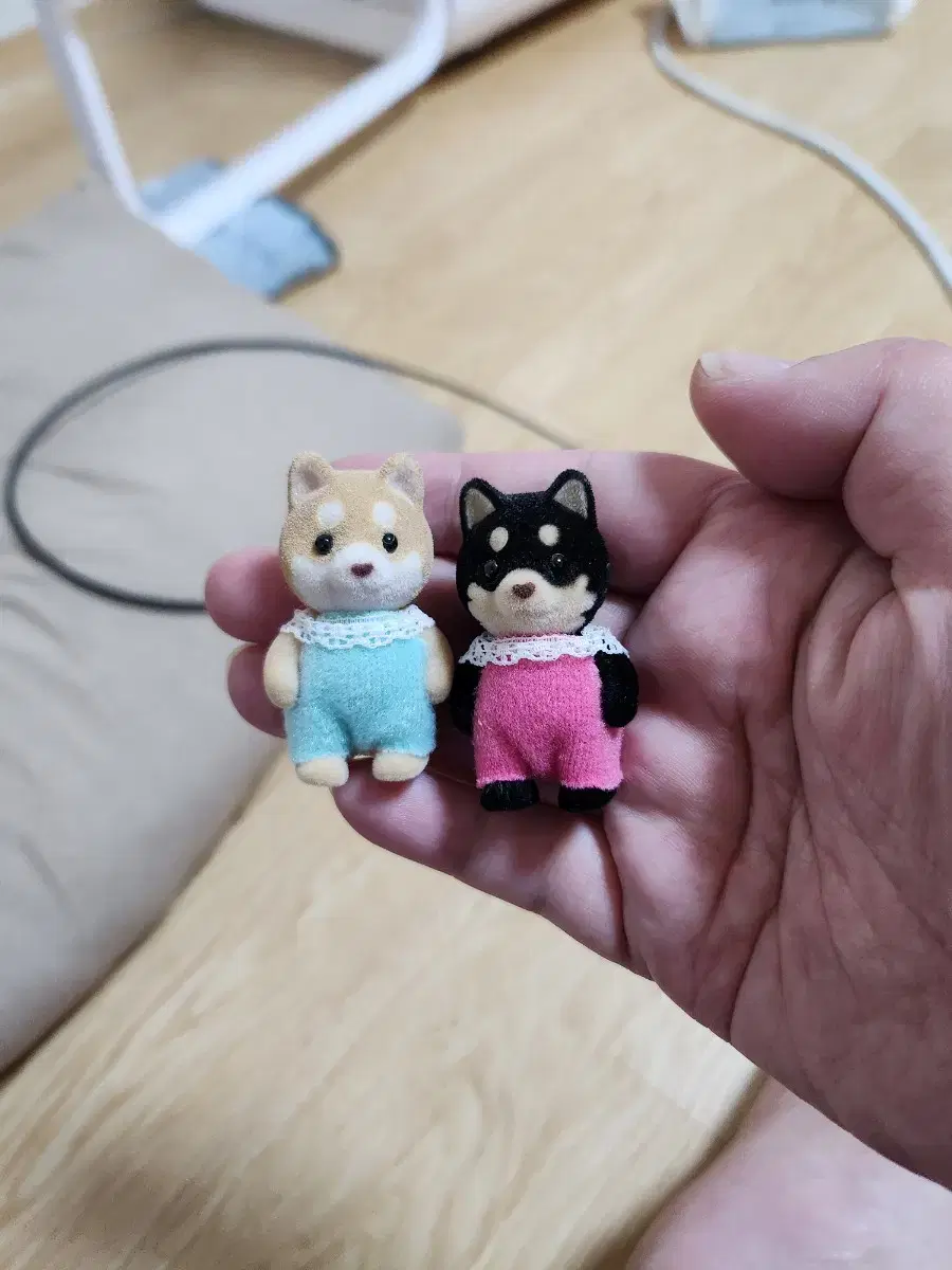 Sylvanian Shiba Inu erect in bulk