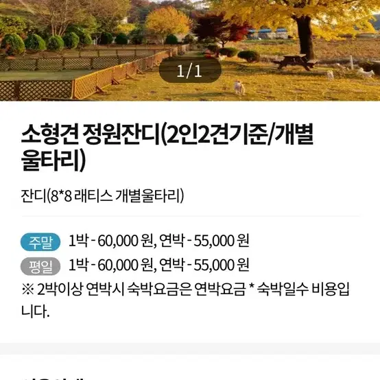 애견동반 캠핑장 양도