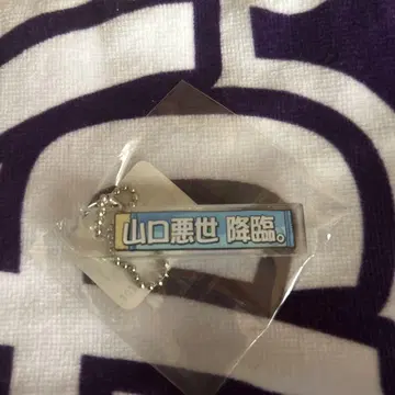 히나아이 테룹가챠 야마구치 하루요 야마구치 악세사리 강림.