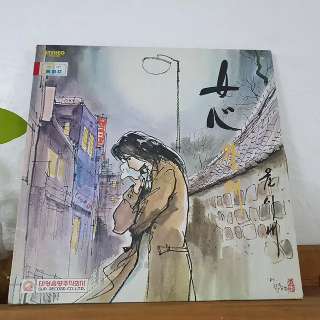 윤시내히트곡앨범 LP 1981 여심 갈대 열애 고목 임에게