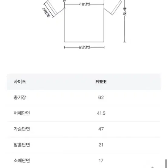 택포) 새상품 레터링 프린팅 반팔 크림 프리사이즈