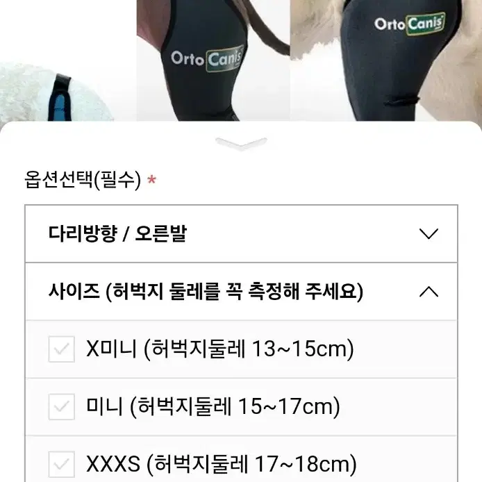 오르토카니스 강아지슬개골 관절보호대