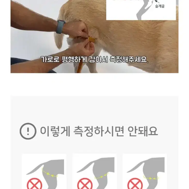 오르토카니스 강아지슬개골 관절보호대