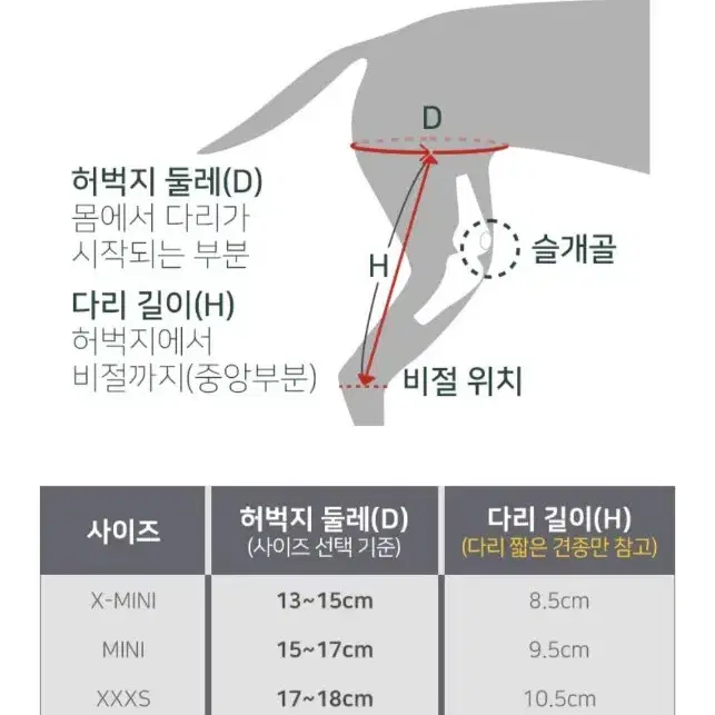 오르토카니스 강아지슬개골 관절보호대